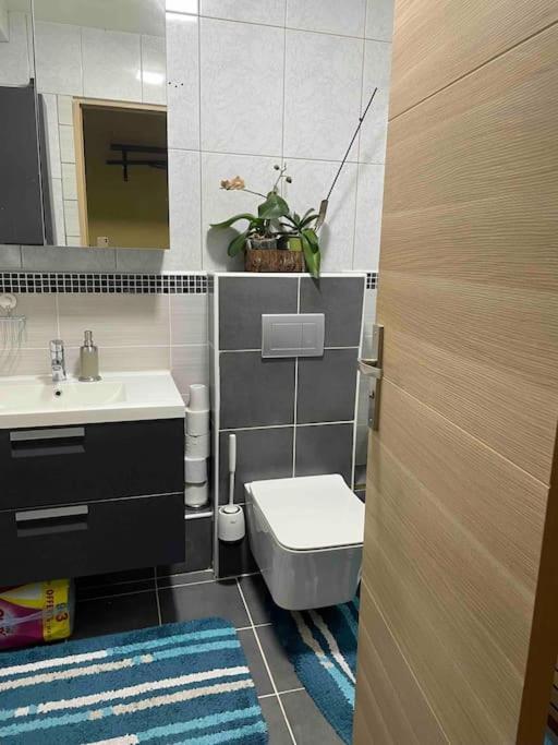 Apartamento Superbe Dans Le Centre De - Arivee Autonome