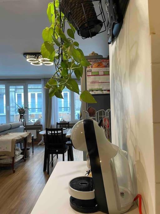 Apartamento Superbe Dans Le Centre De - Arivee Autonome Mons